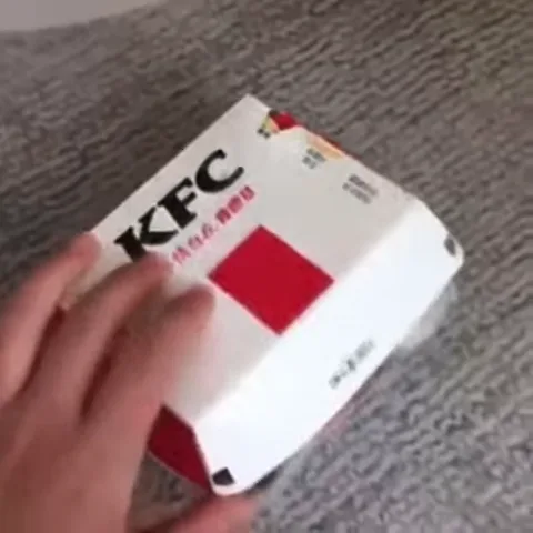 Котёнок спит в коробке KFC, рука щекочет его живот.
