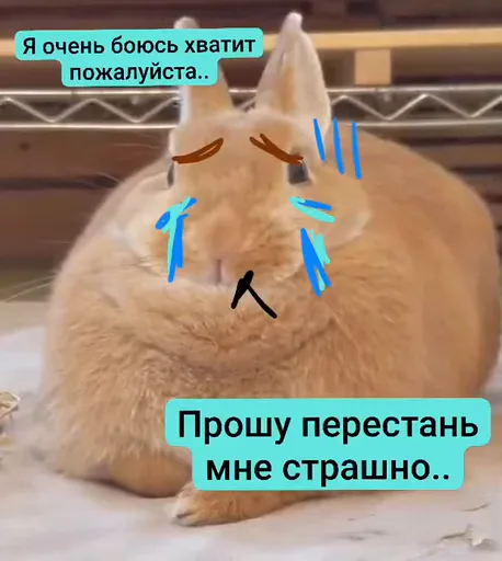 Кролик с дорисованными слезинками и надписью о том, что ему страшно.
