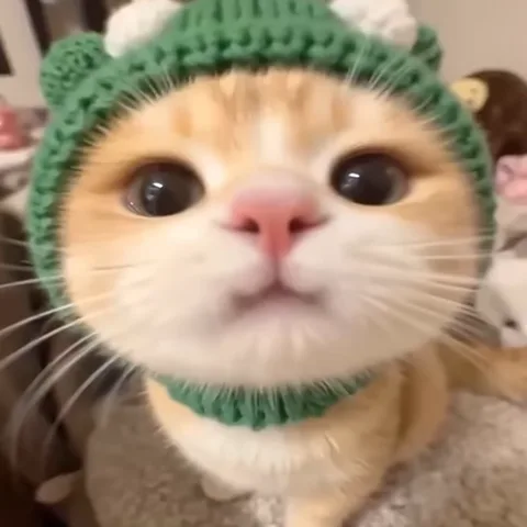 Крупный план рыжего кота в зелёной вязаной шапке, который моргает и смотрит на зрителя.