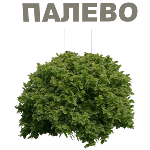Анимация башни танка, выезжающей из куста с текстом «Палево» сверху.