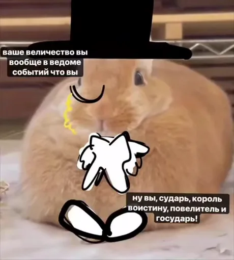 Рыжий кролик с наложенной анимацией: силуэт в цилиндре и с моноклем, сопровождаемый текстом-обращением к «сударю».