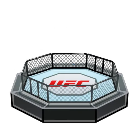 Стилизованный октагон UFC, из которого исходит мощный поток золотого света и разноцветных блесток.