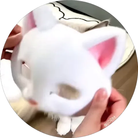 Белый кот, которому надевают белую маску с ушками, кот смотрит в камеру.