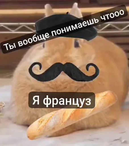Рыжий кот, стилизованный под стереотипного француза (берет, усы), лежит с багетом.