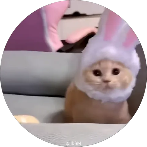 Круглый стикер с рыжим котёнком в белой шапке с розовыми ушками, который смотрит на зрителя и открывает рот.