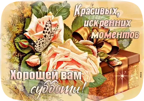 Букет роз с бабочкой и подарочной коробкой, надпись «Красивых, искренних моментов. Хорошей вам субботы!»