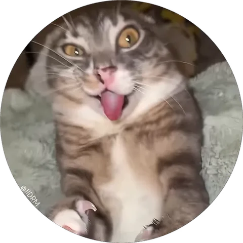 Круглый стикер с фото морды полосатого кота, который высовывает язык.