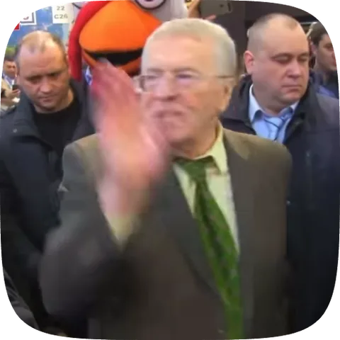 Политик Владимир Жириновский энергично машет ладонью перед собой.