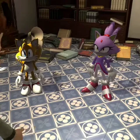 3D-анимация с персонажами из игры Sonic: фиолетовая кошка Блейз и двухвостый лис Тейлз стоят на фоне книжных полок.