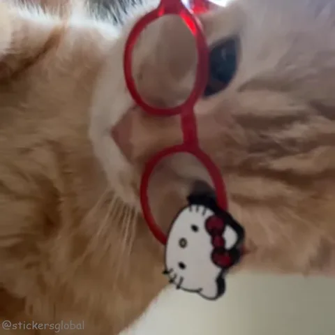 Крупный план рыжего кота, лежащего на спине с красными очками на морде; он двигает головой.