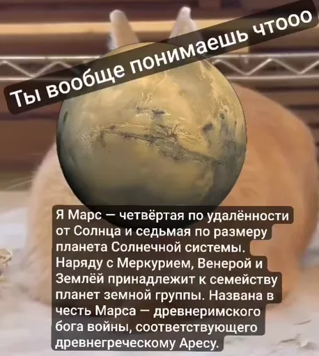 Рыжий персонаж с наложенным изображением планеты Марс и текстом о ней, заголовок «Ты вообще понимаешь чтооо».
