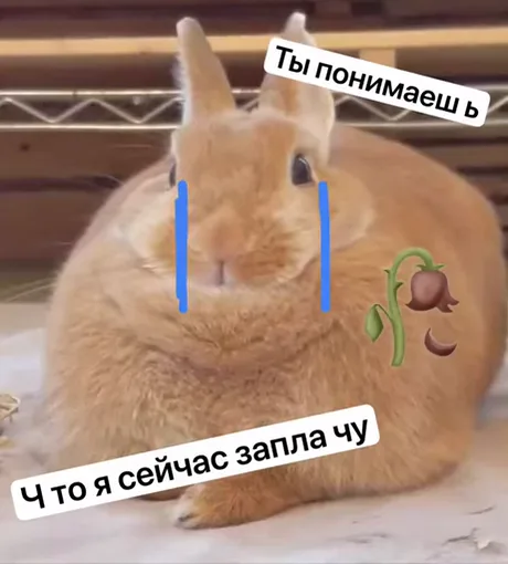 Рыжий пушистый кролик с нарисованными вертикальными синими полосами вместо слез, рядом эмодзи увядшего цветка. Вокруг текст: «Ты понимаешь» и «Ч то я сейчас запла чу».