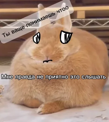 Крупный план рыжего кролика с дорисованными глазами, который выглядит расстроенным из-за услышанного текста.