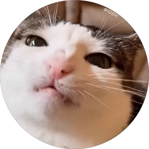 Анимация морды кота в круге, который шевелит губами и открывает пасть.