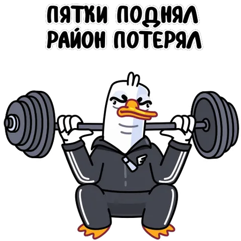 Анимация гуся в спортивном костюме, который делает приседания со штангой под текстом «ПЯТКИ ПОДНЯЛ РАЙОН ПОТЕРЯЛ».