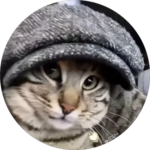 Круглый стикер с мордой полосатого кота в серой шапке.