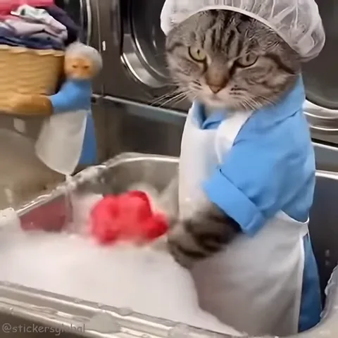 Анимация полосатого кота в одежде прачки, который мнёт красную тряпку в мыльной пене.