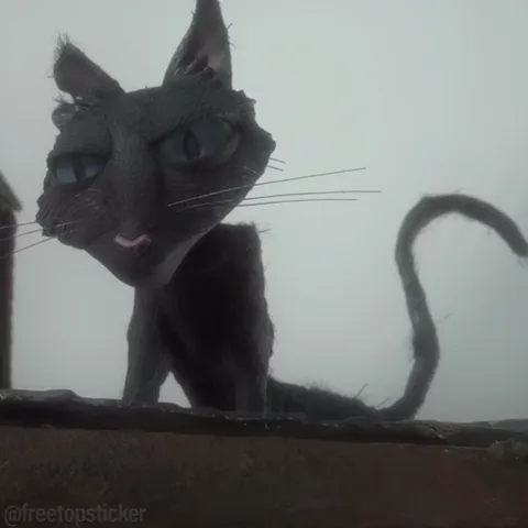 Анимация чёрного кота, который медленно поворачивает голову.