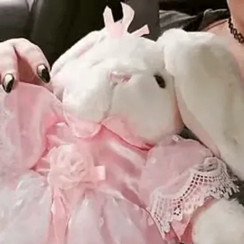 Плюшевый розовый кролик в платье, которого гладят по голове.