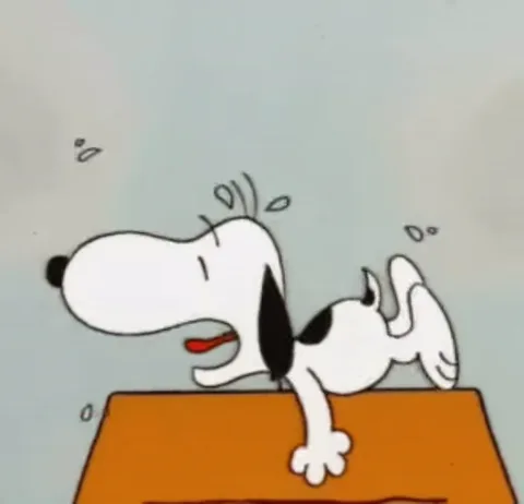 Анимация с персонажем Снупи из Peanuts, который трясёт мокрой головой, лежа на крыше собачьей будки.