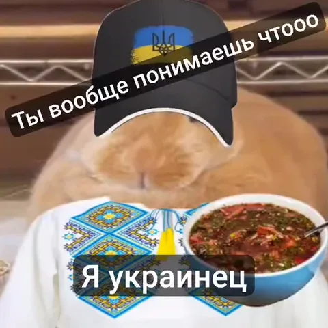 Рыжий кот в одежде с украинскими мотивами ест суп из миски, на фоне текст «ты вообще понимаешь чтооо» и «я украинец».