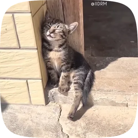 Спящий полосатый котёнок падает на бок с каменной ступеньки.