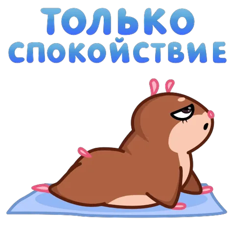 Анимация коричневого существа, которое сидит на голубом коврике и делает дыхательную практику с надписью «только спокойствие».