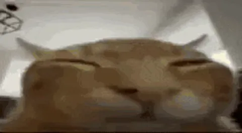 Анимация с рыжим котом, который засыпает и резко взрывается облаком огня.