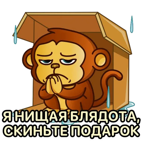 Плачущая обезьяна в коробке просит подарок