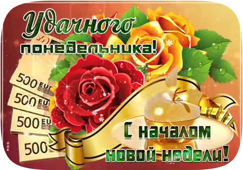 Букет из красных и желтых роз, пачка евро купюрами по 500 евро, золотая лента и надпись «Удачного понедельника! С началом новой недели!»