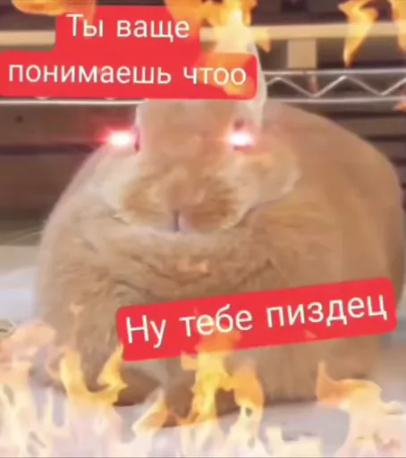 Анимация с кроликом, у которого светятся глаза, он окружен пламенем и текстовыми фразами.