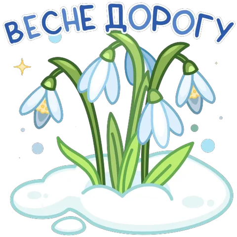 Милые белые подснежники на фоне снега, надпись «ВЕСНЕ ДОРОГУ», вокруг сверкают звезды и пузырьки.