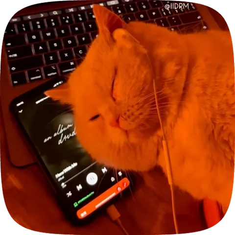 Анимация рыжего кота, который лежит у телефона и слушает музыку с закрытыми глазами.