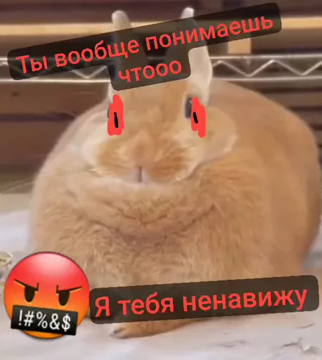 Рыжий кролик с красными глазами, надпись «Ты вообще понимаешь чтоо», «Я тебя ненавижу».