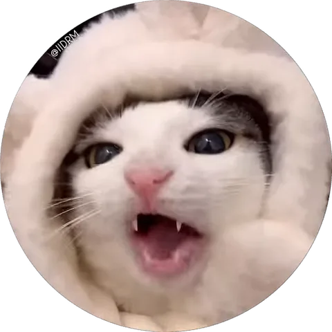 Анимация кота в белой меховой шапке, который шипит и показывает зубы крупным планом.