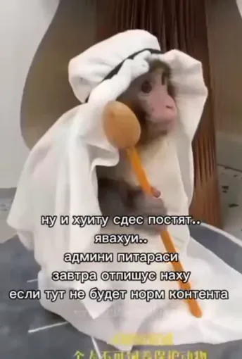 Обезьяна в белой одежде с деревянной ложкой на фоне текста с требованием добавить контент.