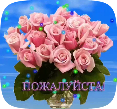 Букет розовых роз с надписью «Пожалуйста!» и блестками.