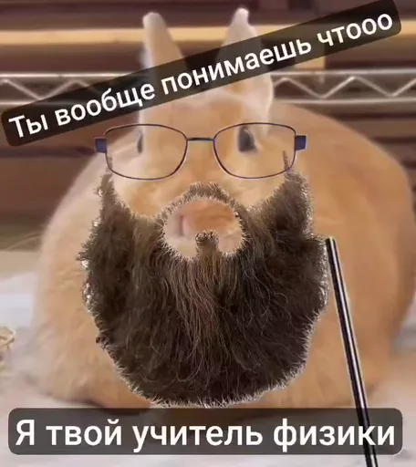 Анимация рыжего существа с нарисованными аксессуарами учителя (очки, борода) и подписями о преподавании физики.