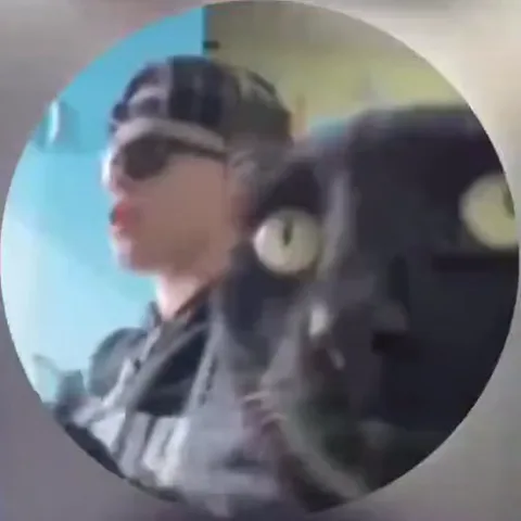 Анимация с человеком в солнцезащитных очках и кепке на заднем плане и крупным планом морды чёрного кота с большими жёлтыми глазами на переднем плане.