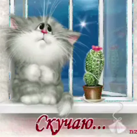 Серый пушистый кот сидит на подоконнике, закрывает глаза от тоски, рядом стоит горшок с цветущим кактусом, внизу красная подпись «Скучаю...».