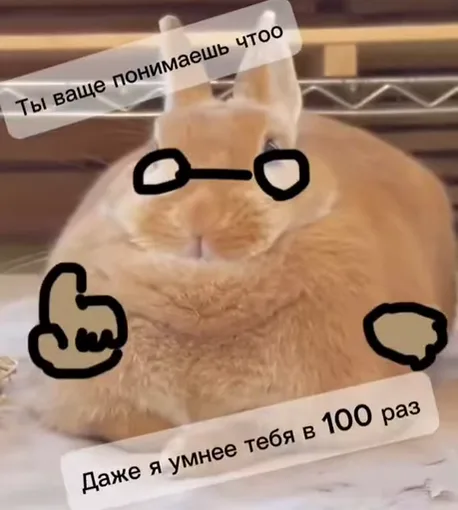 Крупный план рыжего кролика с добавленными поверх фото черными очками и жестом «палец вверх», сопровождаемым надписями о том, что он умнее.