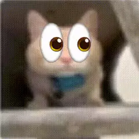 Анимация кота с очень большими глазами, который слегка покачивается.