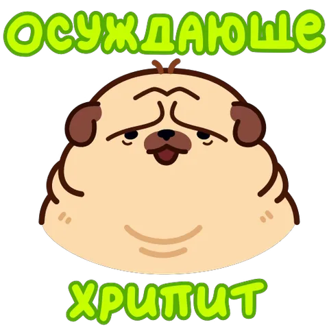 Анимированный стикер с толстым бежевым мопсом, который щурится и шевелит губами под надписями «ОСУЖДАЮЩЕ» и «ХРИПИТ».