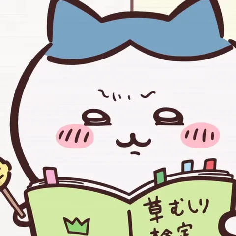 Анимация белого персонажа Хати из набора Chikawa, который держит зеленую книгу и смотрит на неё с серьезным лицом.