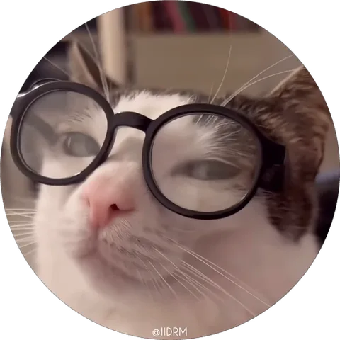 Круглый стикер с фото кота в очках, который смотрит вверх.