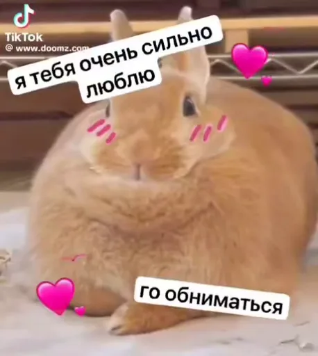 Рыжий кролик с надписями «я тебя очень сильно люблю» и «го обниматься», вокруг летают сердечки.