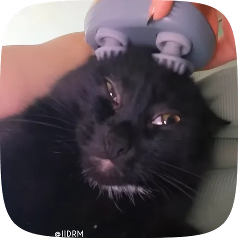 Мемная гифка с черным котом, которому делают массаж головы; кот выглядит очень довольным.
