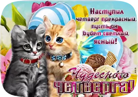 Два котёнка, серый и рыжий, смотрят вперёд. На фоне — мороженое и цветы. Надпись: «Наступил четверг прекрасный, пусть он будет светлый, ясный! Чудесного четверга!»