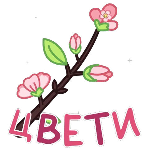 Розовая ветка с распустившимися цветами и надписью ЦВЕТЫ