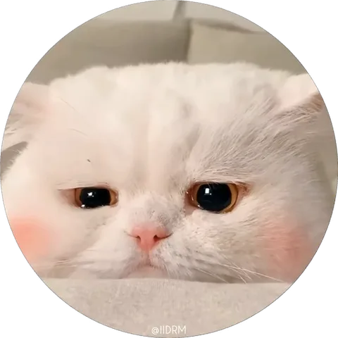 Анимация крупного плана белого кота с розовыми щеками, который сонно моргает.